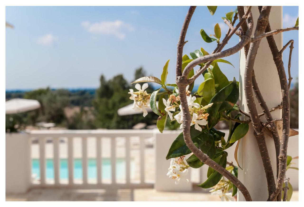 Marinelli Guest House Cisternino Dış mekan fotoğraf